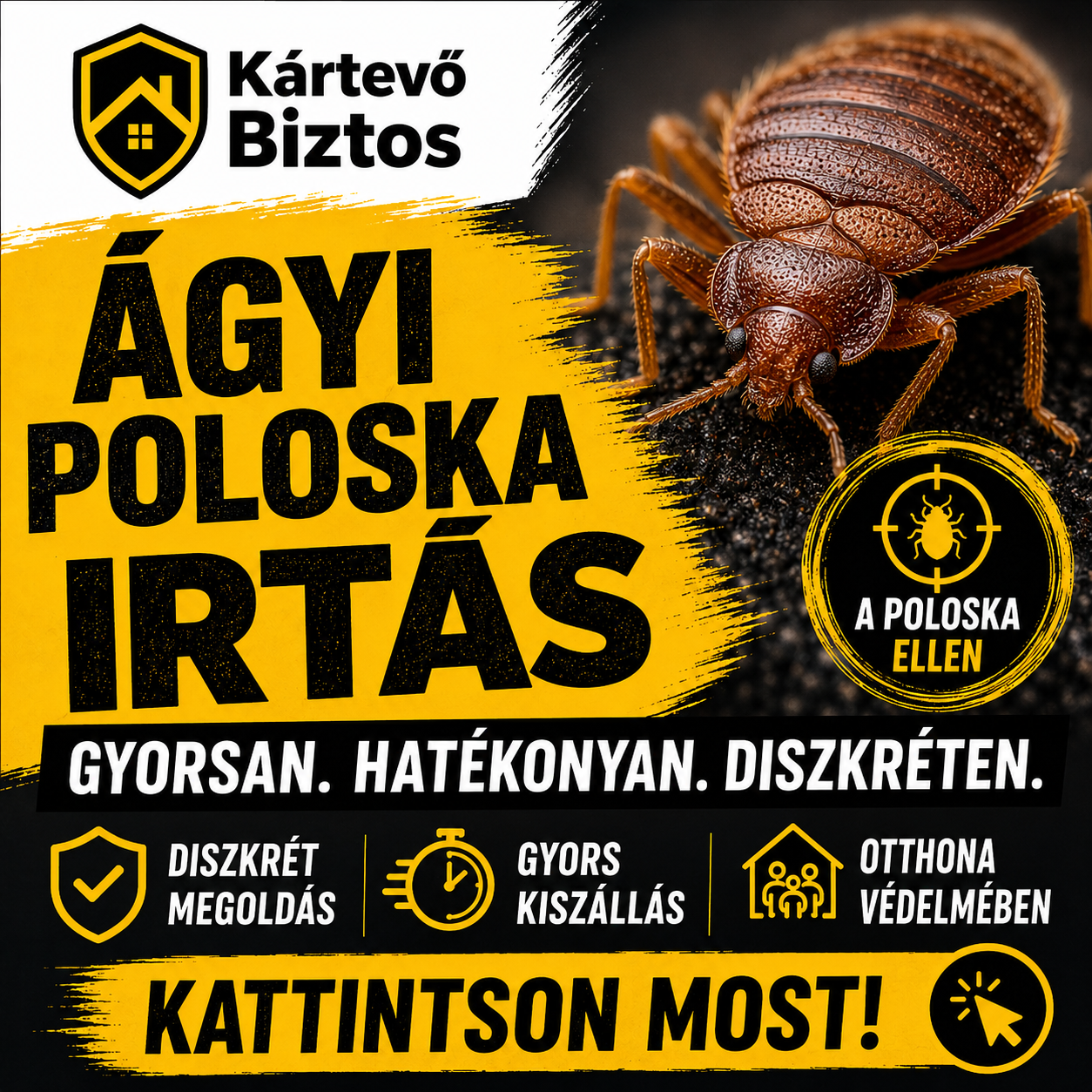 Ágyi poloska irtás